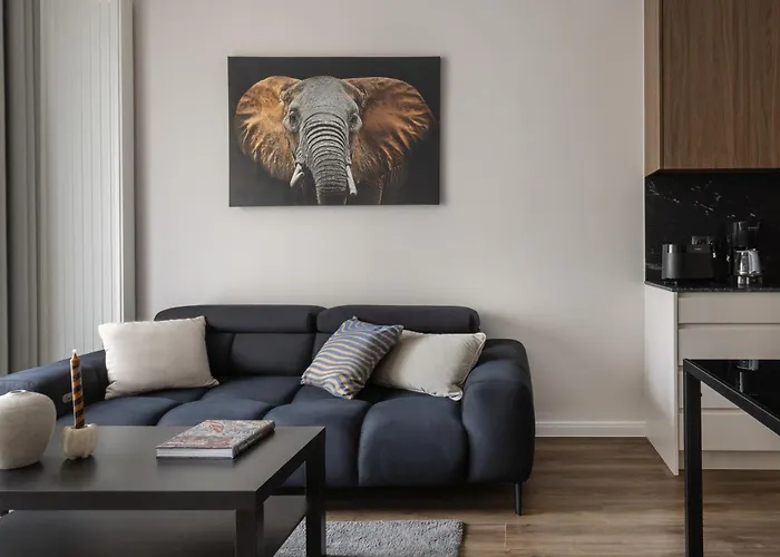 Daire Scala By Moderna Profit- Lakowa 60g