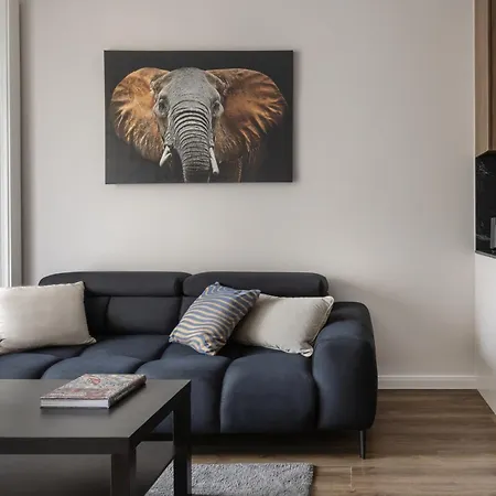 Apartment Scala By Moderna Profit- Lakowa 60g